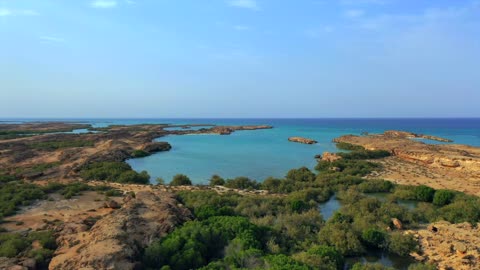 جزر فرسان جازان لقطات جوية لغابات المانجروف