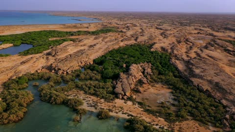 جزر فرسان جازان لقطة جوية لغابات المانغروف