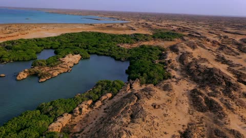 Farasan Island Jazan Mangrove Forest Aerial Drone Footage