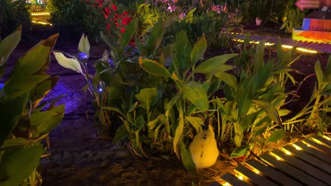 فيديو حديقة العجائب في الجبيل في المملكة ليلاً