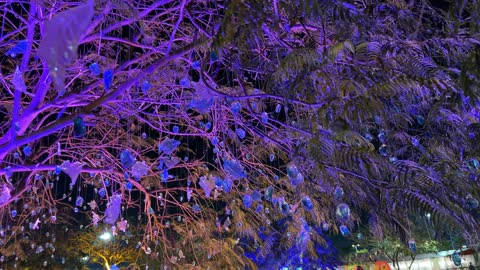 إضاءة حديقة العجائب في الجبيل ليلا