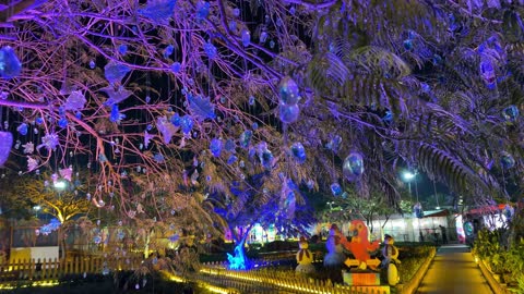 إضاءة حديقة العجائب الجبيل في الليل