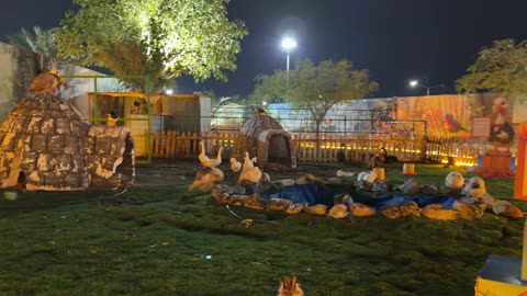 حديقة العجائب الجبيل السعودية حديقة الدواجن فيديو ليلي