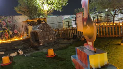 فيديو حديقة العجائب في الجبيل قسم حديقة الوز ليلاً