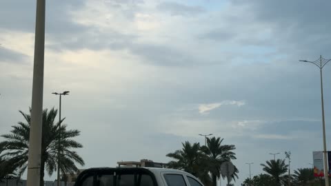 مشهد أشجار النخيل في شوارع الدمام السعودية