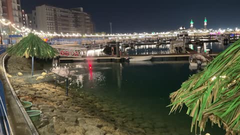 Ducks at Jubail Marina Saudi Arabia at Night