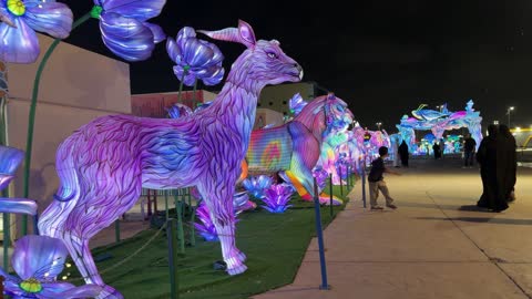 لقطات مهرجان الأضواء الليلي ومجسمات الحيوانات المضيئة