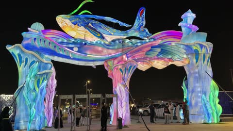 بوابة الحوت المضيئة السعودية فيديو ليلي