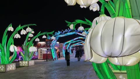 مجسمات زهور مضيئة في مهرجان ليلي خارجي