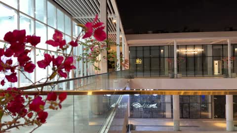 أزهار الجهنمية الوردية في مجمع تجاري حديث ليلاً