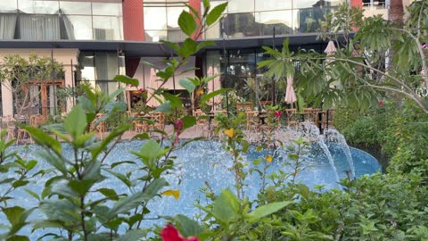 Red Hibiscus Flower and Garden Restaurant Water Fountain