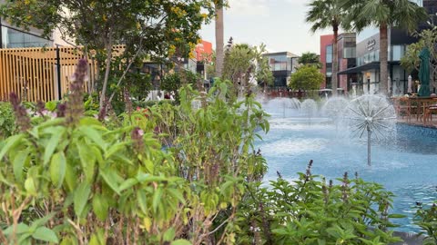 نباتات الريحان ونوافير المياه الحديثة في ساحة حضرية