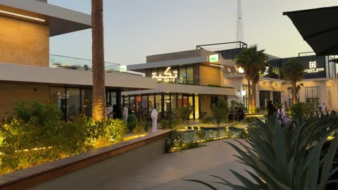 Modern Outdoor Shopping Plaza Twilight Video