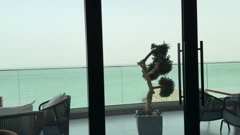 تصميم داخلي لمطعم فاخر يطل على البحر