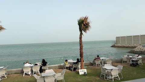 Waterfront Cafe Sea View Outdoor Dining Video