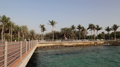 واجهة كورنيش جدة البحرية مع أشجار النخيل