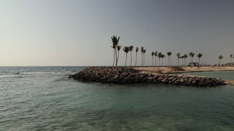 أشجار النخيل على كاسر أمواج البحر الأحمر في جدة