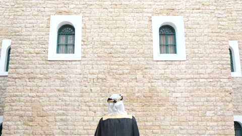 Saudi Man at Traditional Stone Wall Static Footage