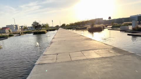 Modern Public Park Walkway with Fountains at Sunset