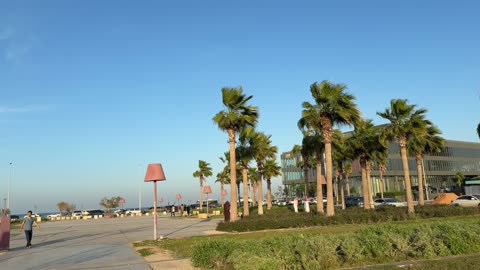 Public Park Saudi Arabia Palm Trees Walking Footage