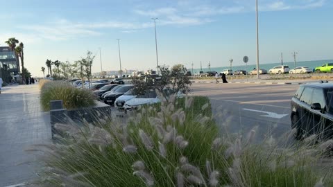 Coastal Road and Promenade in Saudi Arabia Daylight