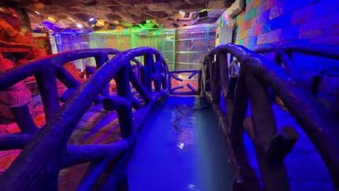 Indoor Neon Bridge and Fish Pond Interior Video