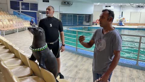 تفاعل مدرب أسد البحر في المركز المائي بالداخل