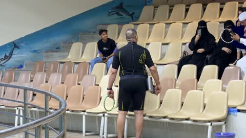 Sea Lion Show Trainer Interaction Saudi Audience