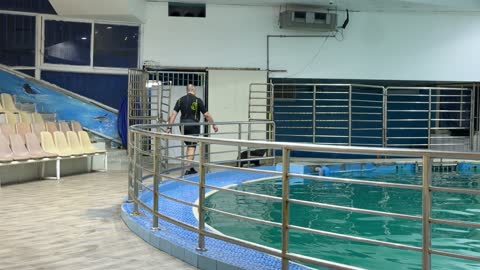 Photographer and Trainer at Indoor Marine Park Pool