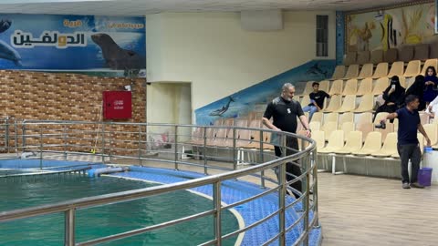 Sea Lion Trainer at Indoor Marine Park Saudi Arabia