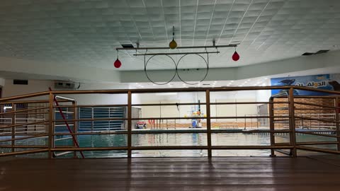 Dolphin Village Indoor Performance Pool Stadium Footage
