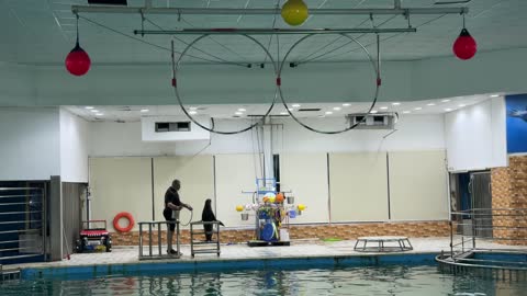 Sea Lion Trainer Performance Indoor Aquatic Center