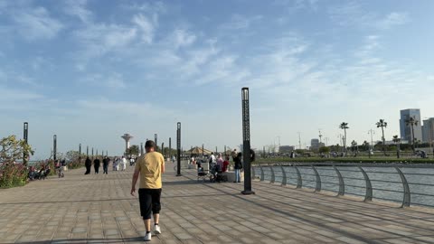 People Walking Along Waterfront Promenade Video