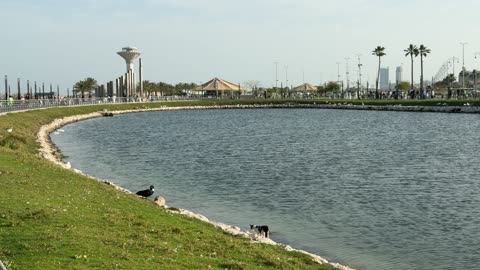 Khobar Water Tower Park Lake Saudi Arabia Footage