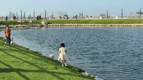 Children Interacting with Geese in Middle East Park