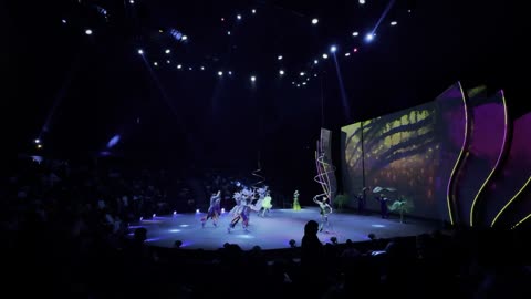Live Circus Performance Stage Show with Dancers