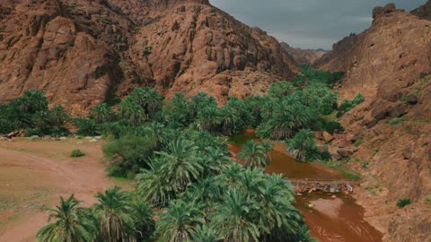 Hail Saudi Arabia Valley Palm Oasis Aerial Drone Footage