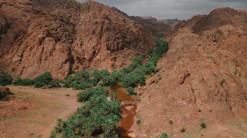 لقطات جوية لواحة النخيل في صحراء حائل السعودية