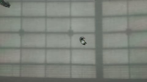 Construction Workers Walking Aerial Top Down Video
