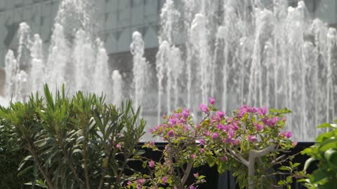 فيديو نافورة مياه خارجية حديثة في ساحة حضرية مشمسة