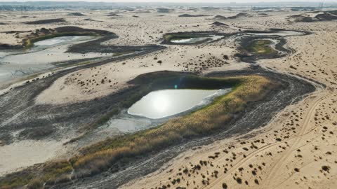 Desert Oasis Lake Aerial Drone Footage