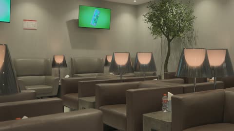 Modern Lounge Interior with Leather Armchairs and Lamps