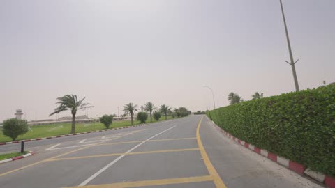 Landscaped Paved Road and Palm Trees Driving Footage