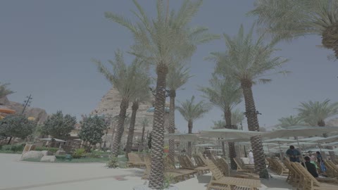 Waterpark Desert Resort Swimming Pool Daylight Footage