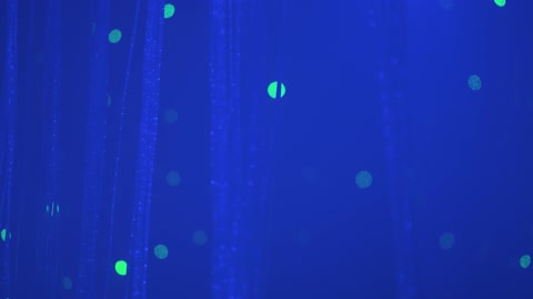 Abstract Blue Fiber Optic Light Bokeh Video