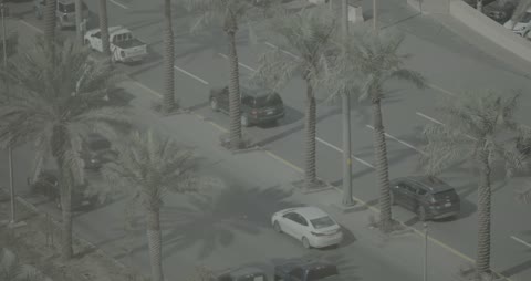 حركة المرور والسيارات في شارع مليء بالنخيل بالشرق الأوسط