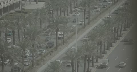 Urban City Traffic and Palm Trees High Angle Footage