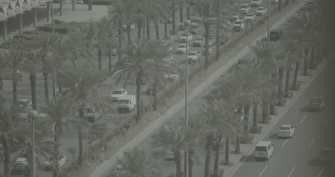 Busy City Traffic and Palm Trees High Angle Footage