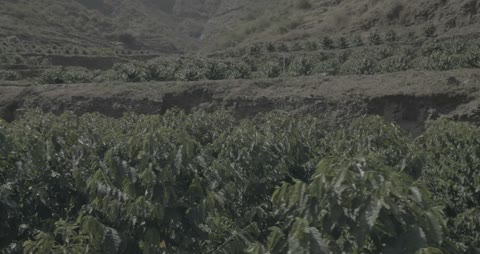 Green Mountain Agricultural Terraces Farming Video
