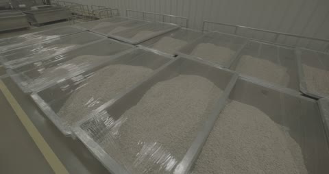 Industrial Grain Containers in Food Processing Factory